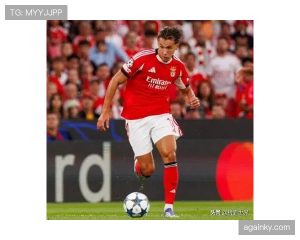 从本菲卡青训到葡萄牙主力：鲁本·迪亚斯的中卫崛起路径解析