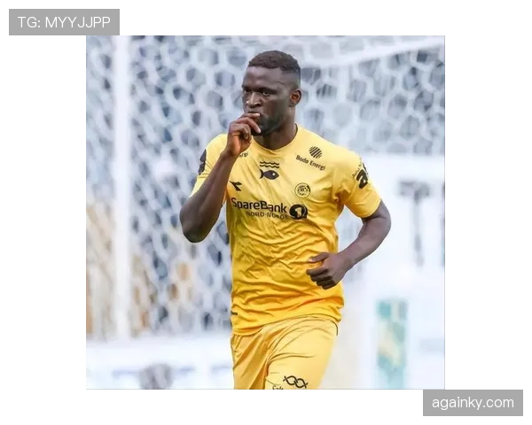 博尼法斯如何凭借力量型中锋特质突破防线