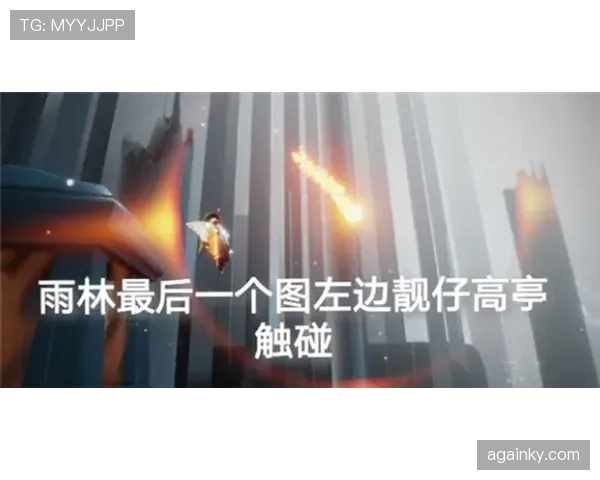 郑赛赛训练完直接去提了辆保时捷，这姐的日常也太不日常了吧
